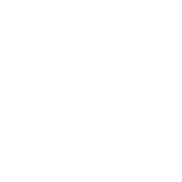 DSEVIS